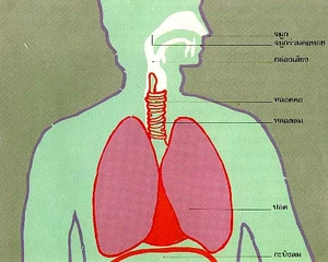 โรคระบบการหายใจ