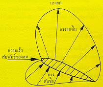 คลิกชมภาพต่อไป