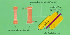 เครื่องไตเทียม