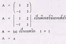 ดีเทอร์มิแนนต์