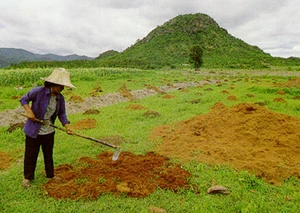 กลวิธีในการพัฒนาชนบทตามแนวพระราชดำริ