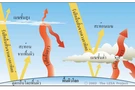 ปรากฏการเรือนกระจก (Greenhouse effect) 