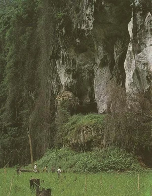 สภาพแวดล้อมกับการตั้งถิ่นฐานของมนุษย์ในประเทศไทย