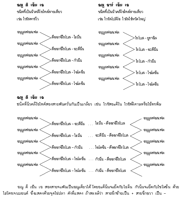 My Image 34