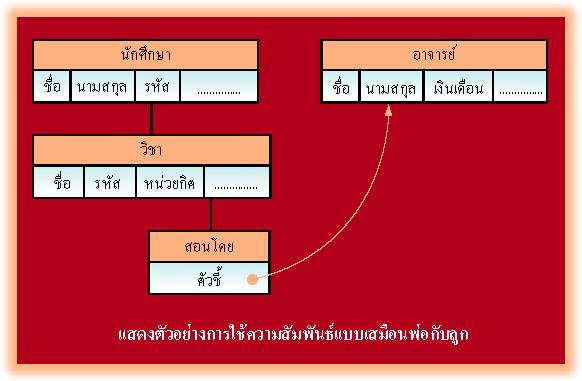 โครงสร้างข้อมูลพื้นฐานของแบบจำลอง