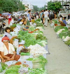 ความหมายและขอบเขตของพฤกษศาสตร์พื้นบ้าน