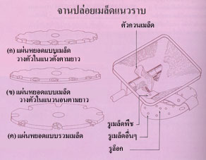 คลิกชมภาพต่อไป