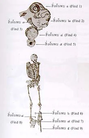 ประวัติการแพทย์และเภสัชกรรมไทย