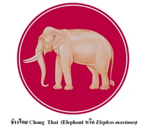 วันช้างไทย 13 มีนาคม ของทุกปี