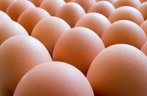 เคล็ดลับเก็บไข่ไก่ให้นาน 10-12 เดือน