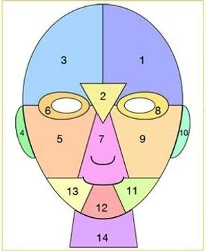 ตำแหน่งสิวบนใบหน้า