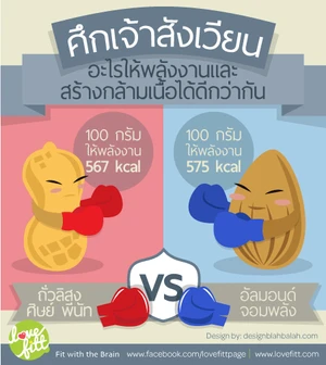 ถั่วลิสง ปะทะ อัลมอนด์