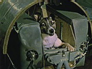 ไลก้า สุนัขอวกาศตัวแรกของโลก ถูกส่งขึ้นสู่อวกาศไปโคจรรอบโลก