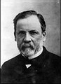คล็อด เบร์นาร์ (Claude Bernard) 