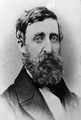 เฮนรี เดวิด ธอโร (Henry David Thoreau) 