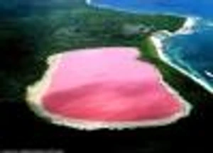 เลค ฮิลเลอร์ ทะเลสาบสีชมพู ประเทศออสเตรเลีย ปรากฎการณ์ธรรมชาติน่าทึ่ง