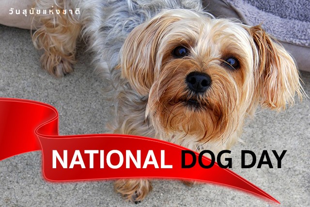 วันสุนัขแห่งชาติ (National Dog Day)