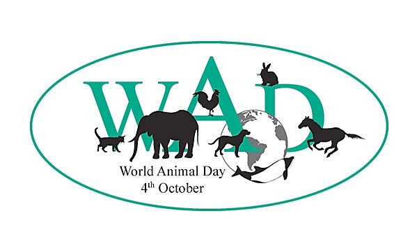 วันสัตว์โลก World Animal Day
