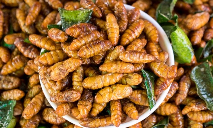 “แมลงทอด” อร่อยดี มีประโยชน์ แต่ไม่ใช่ทุกคนที่ทานได้!
