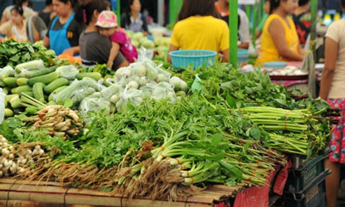 ผักปลอดภัย กินได้ ดูอย่างไรดี