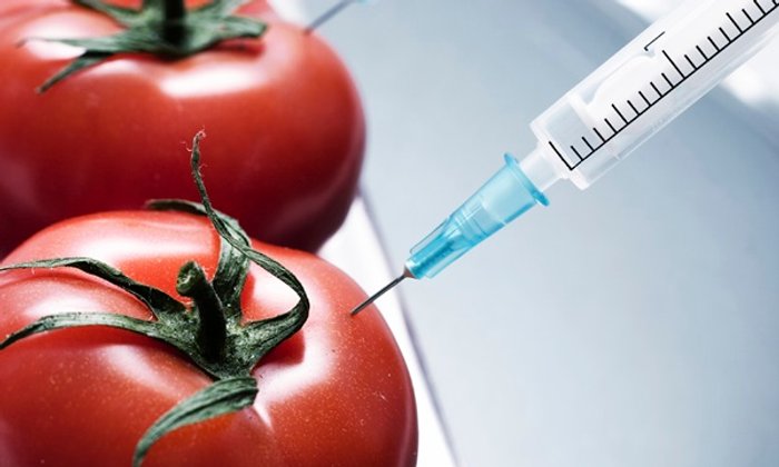 สรุปเลย! GMOs พืชและสัตว์ดัดแปลงพันธุกรรม ดีหรือไม่ดีกันแน่?