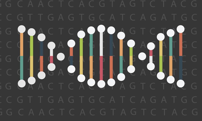 DNA ในร่างกาย กำหนดวิธี “ออกกำลังกาย” ที่เหมาะสมได้