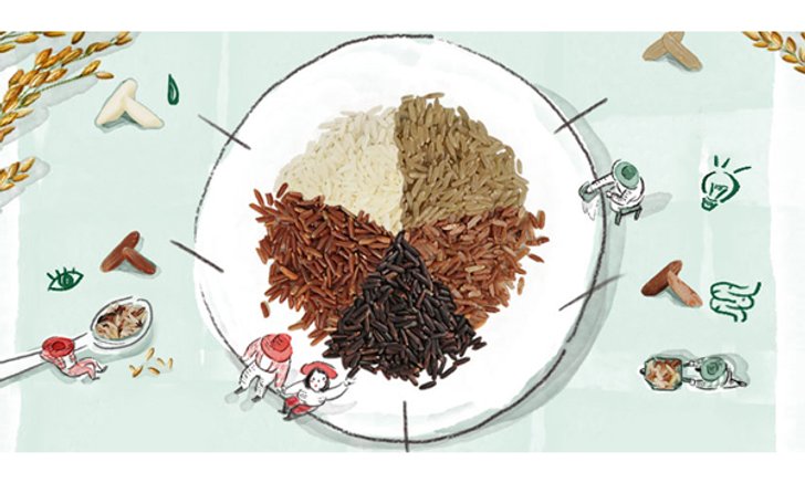 เทรนด์ใหม่! “ทานข้าวอินทรีย์” อร่อยดีแถมมีประโยชน์อีกเพียบ
