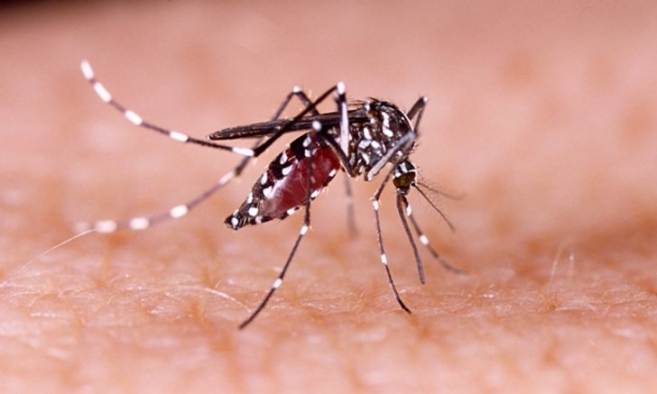 โรคติดเชื้อไวรัสซิกา (Zika) คืออะไร? ป้องกันอย่างไร?