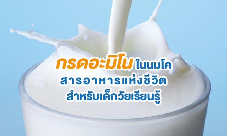 กรดอะมิโนในนมโค สารอาหารแห่งชีวิต สำหรับเด็กวัยเรียนรู้
