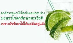 หยุดแชร์! มะนาวโซดารักษามะเร็งไม่ได้!