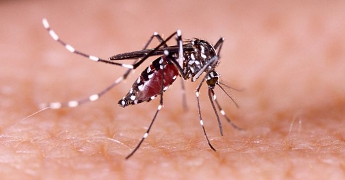 โรคติดเชื้อไวรัสซิกา (Zika) คืออะไร? ป้องกันอย่างไร?