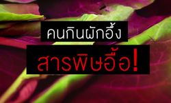 อันตราย! ผักไทยพบสารเคมีตกค้างเกือบ 100% แทบทุกชนิด