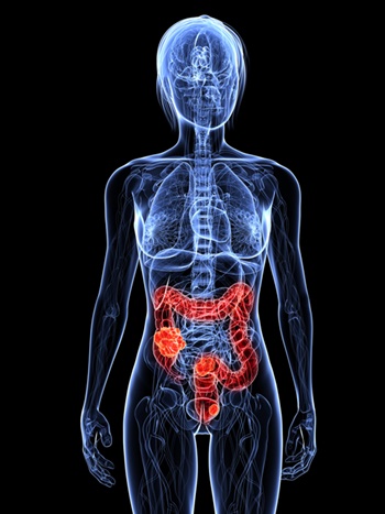 intestines-colon