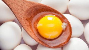 ไข่แดง กินมากไม่ดีต่อสุขภาพจริงหรือ?