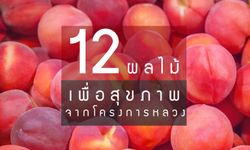 12 ผลไม้เพื่อสุขภาพจากโครงการหลวง