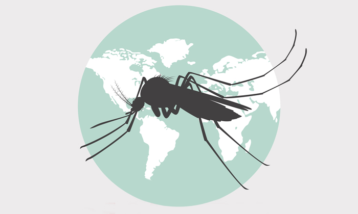วิธีป้องกัน “ไข้มาลาเรีย-ไข้จับสั่น” ที่ถูกต้อง