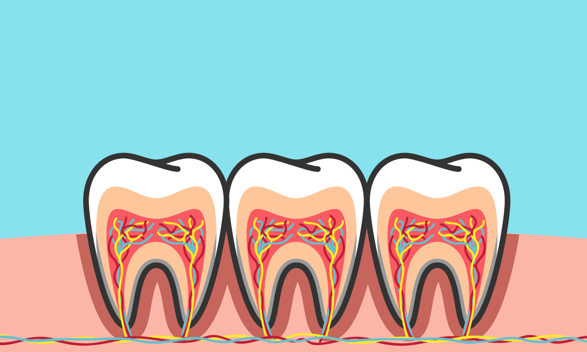 7 สัญญาณอันตราย ได้เวลารักษา “รากฟัน”