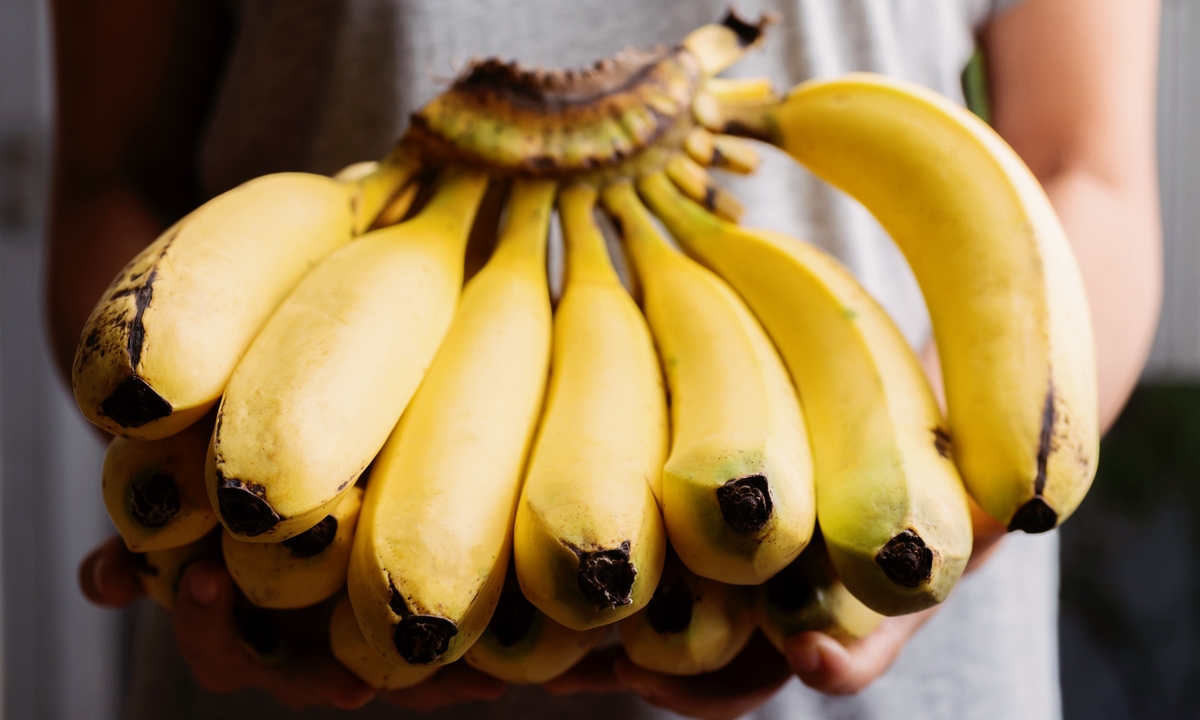 “กล้วย” และ ประโยชน์ดีๆ ต่อสุขภาพ บรรเทาโรคระบบทางเดินอาหาร-บำรุงร่างกาย