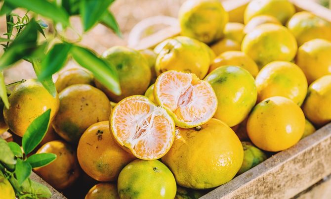 ส้มเขียวหวาน” ประโยชน์ และข้อควรรู้ก่อนกิน