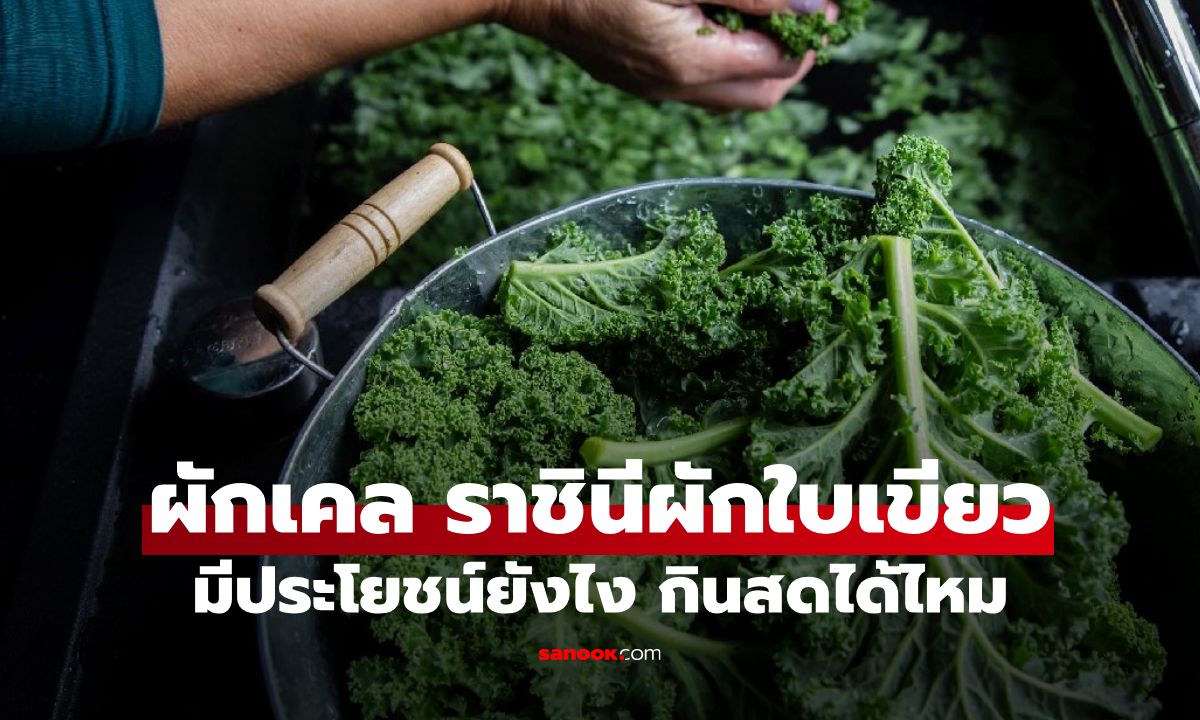 ผักเคล (Kale) ซูเปอร์ฟู้ดสุดฮิต มีประโยชน์ยังไง กินสดได้ไหม