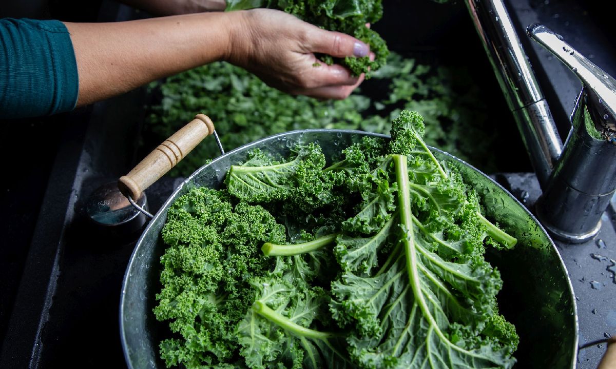 ผักเคล (Kale) ซูเปอร์ฟู้ดสุดฮิต มีประโยชน์ยังไง กินสดได้ไหม