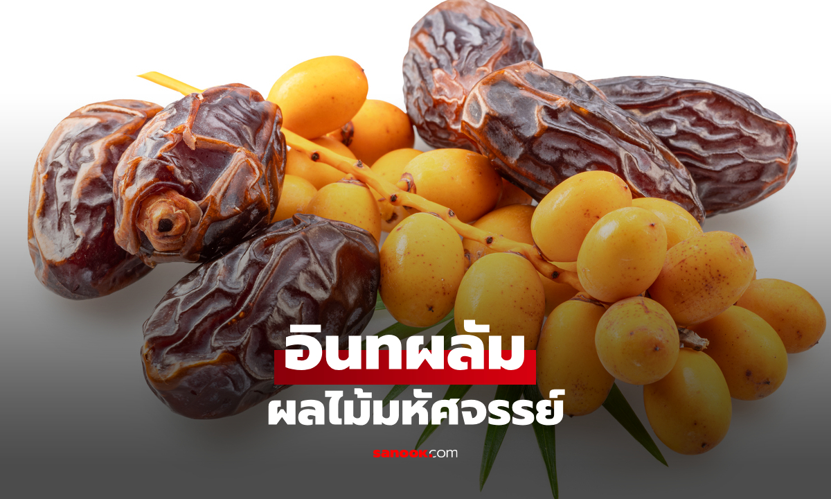 อินทผลัม ผลไม้พลังงานสูง เปิดประโยชน์ที่หลายคนยังไม่รู้