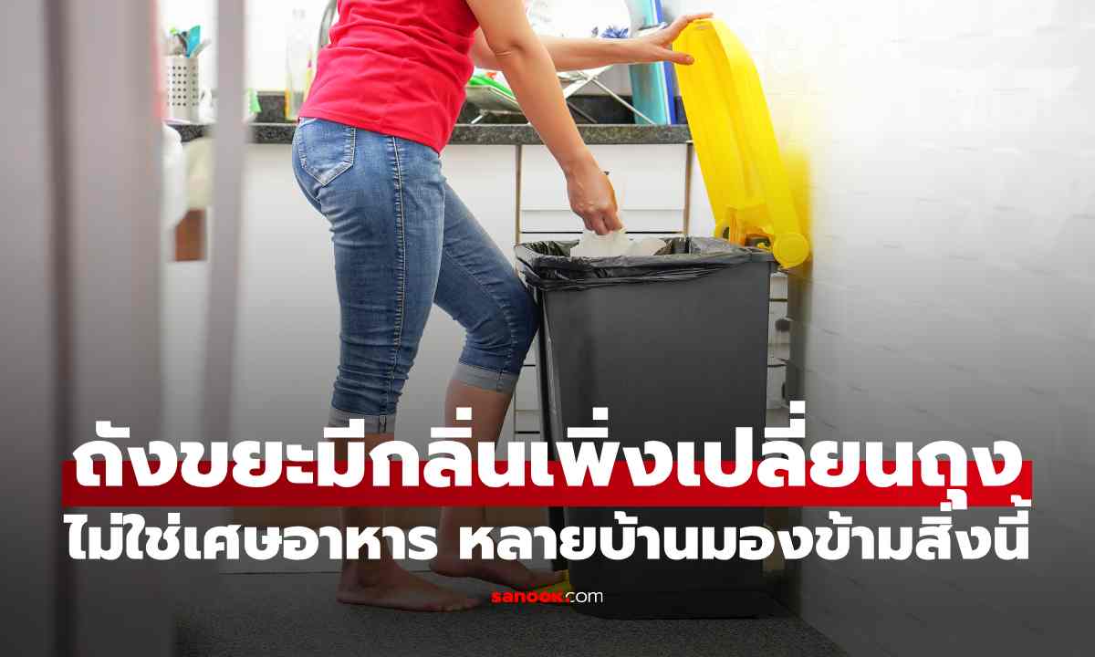 ถังขยะมีกลิ่นเร็ว ทั้งที่เพิ่งเปลี่ยนถุง? สาเหตุอาจไม่ใช่เศษอาหาร หลายบ้านมองข้ามจุดนี้
