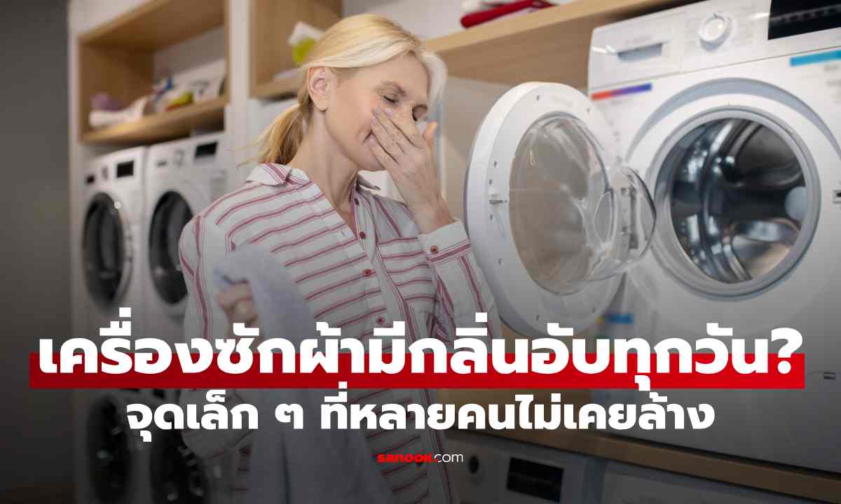 เครื่องซักผ้ามีกลิ่นอับ ทั้งที่ซักผ้าทุกวัน? จุดเล็ก ๆ ที่หลายคนไม่เคยล้าง