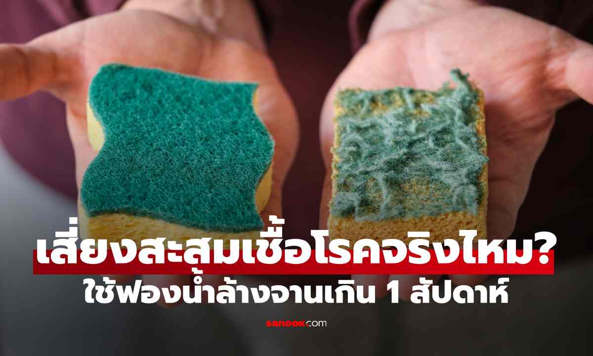 ฟองน้ำล้างจานใช้เกิน 1 สัปดาห์ เสี่ยงสะสมเชื้อโรคจริงไหม?