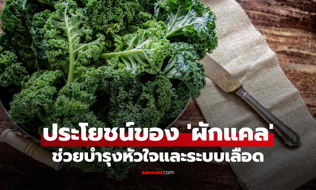 ประโยชน์ของ 'ผักแคล' ผักใบเขียวที่มีวิตามิน K สูง ช่วยบำรุงหัวใจและระบบเลือด