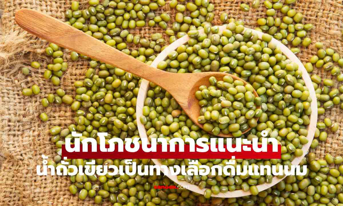 ทำไมนักโภชนาการจึงแนะนำให้กินถั่วหลากหลายชนิด? น้ำถั่วเขียวก็เป็นหนึ่งในตัวเลือกที่น่าสนใจ