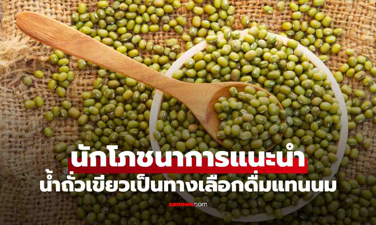 ทำไมนักโภชนาการจึงแนะนำให้กินถั่วหลากหลายชนิด? น้ำถั่วเขียวก็เป็นหนึ่งในตัวเลือกที่น่าสนใจ