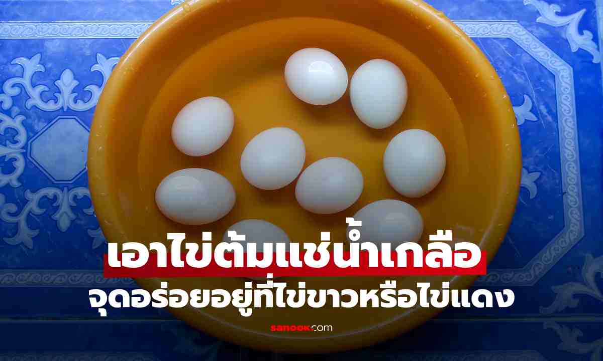 เอาไข่ต้มแช่น้ำเกลือ จะเกิดอะไรขึ้น? จุดอร่อยเริ่มจากไข่ขาวหรือไข่แดง