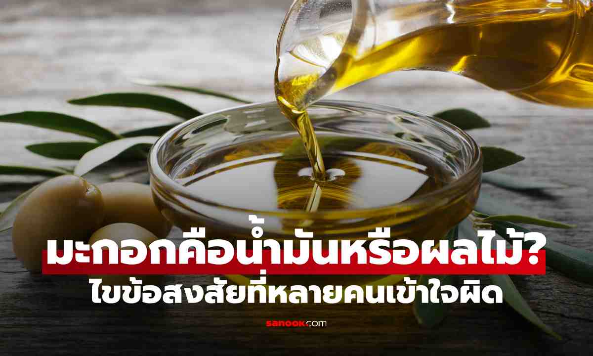 มะกอกคือน้ำมันหรือผลไม้? ไขข้อสงสัยที่หลายคนเข้าใจผิด พร้อมรู้จักประโยชน์ของมะกอกและน้ำมันมะกอก